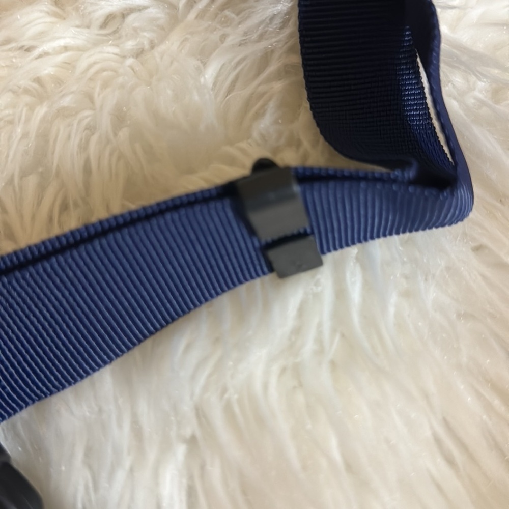 Carnival Cruise VIFP past guest gift - blue fanny pack / belt bag New in package - Picture 5 of 9